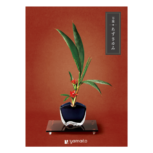 �J�^���O�M�t�g ���t ���������